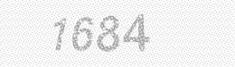Visual security code — type the characters shown in the image