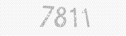 Visual security code — type the characters shown in the image