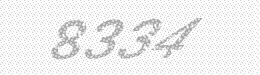 Visual security code — type the characters shown in the image