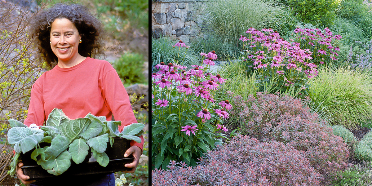Karen standing outdoors in a coral pink shirt holding a flat of silvery-green leafy plants (L); meadow-inspired nature scape with purple cone flowers and variety of green and silvery-green grasses (R)